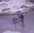 Стая бездомных собак бросается на людей возле рынка в Кашире-1 Видео - Kashira.Ru