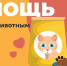 Благотворительный сбор корма для бездомных животных в подмосковной Кашире - Администрация г.о. Кашира