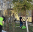 В городском округе Кашира прошли субботники - Администрация г.о. Кашира