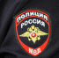 Незаконных мигрантов, которые могут работать на каширских предприятиях, будут высылать - Regions.Ru