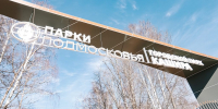 «Мартовский спорт» пройдет в городском парке Каширы - Администрация г.о. Кашира