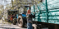 В Кашире обнародовали новую дату апрельского субботника - Regions.Ru