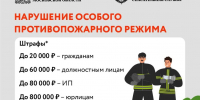 На территории Подмосковья установлен особый противопожарный режим - Администрация г.о. Кашира