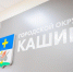 Стало известно, кто контролирует исполнение обращений жителей Каширы - Regions.Ru