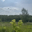 Один из самых привлекательных участков был реализован в Кашире - Regions.Ru
