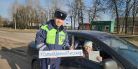 Госавтоинспекторы в Кашире провели профилактическое мероприятие «Детское кресло» - Администрация г.о. Кашира